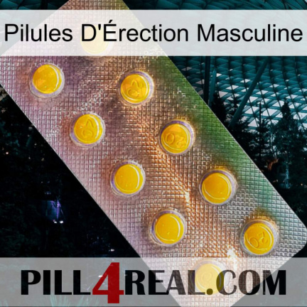 Male Erection Pills new11